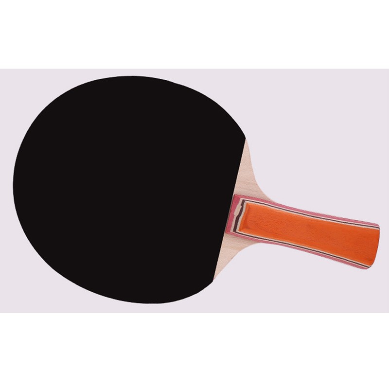 Table Tennis Set Paddles Balls Net Kit Portable Table Tennis