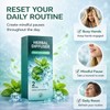 Herbal Diffuser Pen 2 Pack, Mint Non-Electric Personal Aroma Stick