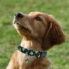 Clover Patterns Dog Collar with Accessories, Durable and Soft Cotton