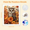 HEIBAGO Owl Paint by Numbers, Flowers Paint by Numbers for