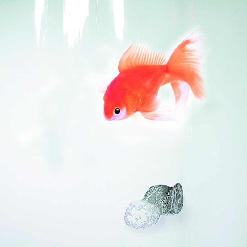 Spirella Anti-Mould Goldfish Shower Curtain, Anti-Bacterial, Washable, Waterproof, Vinyl, 180