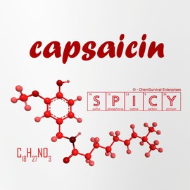 CafePress Capsaicin Pint Glass, 16 oz. Drinking Glass