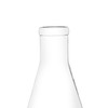 Rocwing - Borosilicate 3.3 Glass Graduated Conical Erlenmeyer Flask for