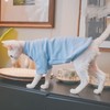 Sphynx Cats Warm Fleece Shirt Cat Turtleneck Undershirt Thermal Hairless