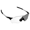 Alphax Anti Frog Adapt Grey Photochromic Replacement Lenses Fit for