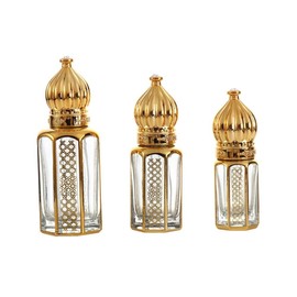3 Pcs Glass Dropper Bottles Refillable Mini Essential Oil Dropping Bottle Travel Cosmetic Perfume Sample Containers with Gold Cap