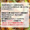Healthy Company Japanese Onion Skin Tea 0.07 oz (2 g)