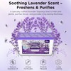W&E Choice Moisture Absorber, Lavender Scented Dehumidifier for Home, Large