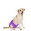 Luxja Reusable Female Dog Diapers (Pack of 4), Washable Wraps