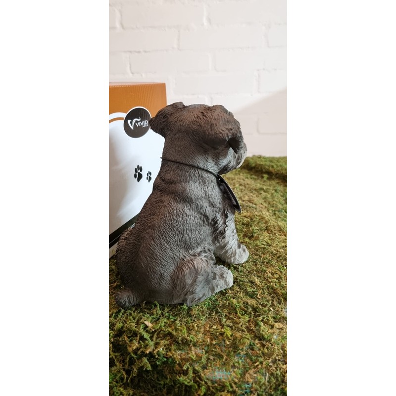 Vivid Arts Pet Pals Miniature Schnauzer Puppy PP-MINS-F