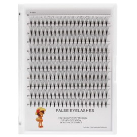 Vayator 10-18mm to Choose Premade Russian Volume Fans Lashes 6D/10D/12D/14D/20D Makeup Personal Eyelash String Grafted Eyelash Extension Clusterr (14P-10MM)