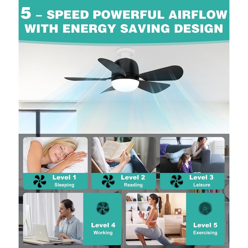 HK Socket Fan Light, 20 Inch Screw Ceiling Fans with