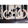 Gym Rings/Flying Rings - 2-in-1 Multifunctional Trapeze Swing with Wooden