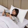 BedLooms White Pillow Cases 2 Pack - 100% Microfiber Envelope
