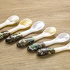 DUEBEL Set of 6 Caviar Spoons with Abalone Handle, 4"