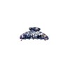 Seleny Resin Claw Clip (Blue)