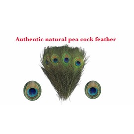 Z ZILLION CRAFT Swastika logo from Peacock feather for Vastu Sastra for home and office. Beautiful home decor gift for house warming, Vastu dosh correction and good fortune.