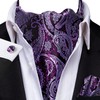Hi-Tie Silk Ascot for Men Self Tie Men's Cravat and