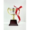 FB-125A Winning Cup 24.5cm Tall with Winning Letter Plate Resin