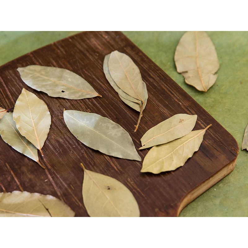 Swẹẹt Bay Leaf Plạnt Lịvẹ – Bay Laurel Trẹẹ –