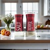 Pack of 2 Salt and Pepper Shaker Salt and Pepper