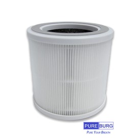 PUREBURG GXZ-AP01 Replacement Filter Compatible with Housmile Air Purifier GXZ-AP01, 2-Pack H13 HEPA Activated Carbon