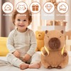 Kayuneed Cute Capybara Cuddly Toy with Abeilles - 23 cm