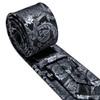 Barry.Wang Mens Silk Paisley Tie Set Black Silver Necktie Pocket