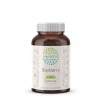 HerbEra Bayberry 60/120 Capsules, 500 mg, Organic (Myrica Cerifera) -