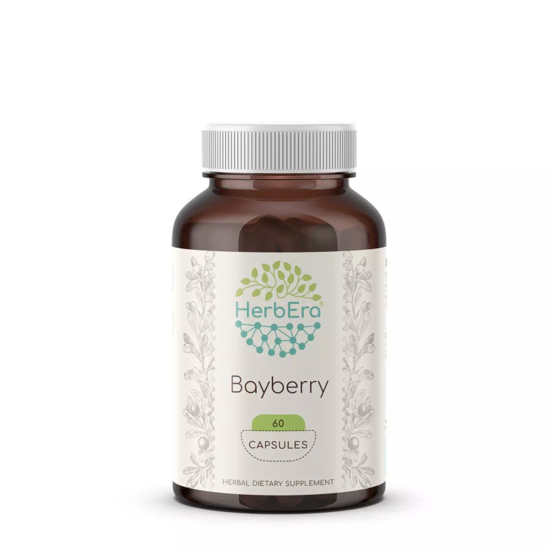HerbEra Bayberry 60/120 Capsules, 500 mg, Organic (Myrica Cerifera) -