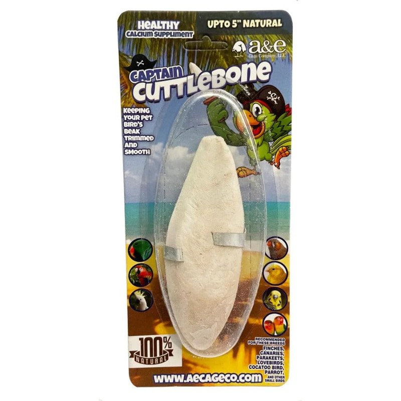 A&E Cage Company Captain Cuttlebone 6" Natural Cuttlebone for Birds
