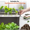Mint Seed Pod Kit for AeroGarden, Ahopegarden, Gardencube Indoor Garden