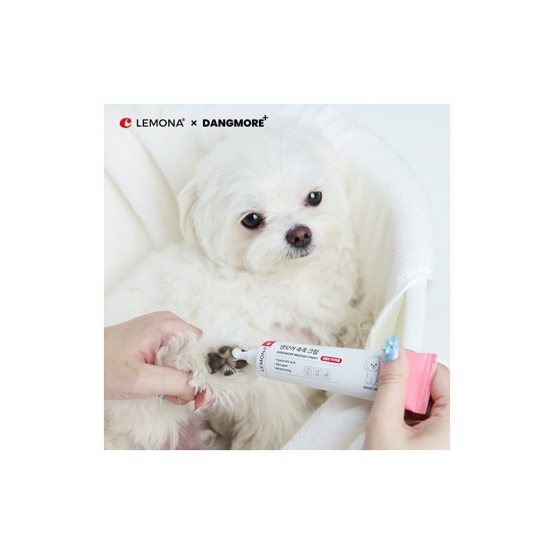 Lemona X Dangmore Hydrating Cream 40ml / 레모나X댕모어 촉촉 크림