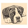 P126 Boxer Puppy Dog Rubber Stamp
