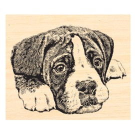 P126 Boxer Puppy Dog Rubber Stamp