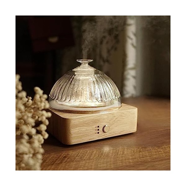 Levoair Glass Dome Essential Oil Diffuser with Glass Reservoir &
