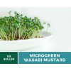 Southern Seeds Microgreen, Wasabi Spicy Mustard seeds - Intense and