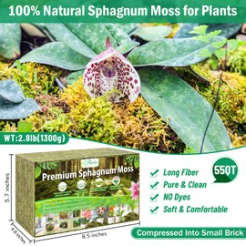 Riare 2.8LBS Premium Sphagnum Moss for Plants- 55QT Natural Dried Plant Moss for Potted Plants, Orchid Moss for Repotting, Soft Green Decorative Moss for Succulents, Reptiles & DIY Crafts