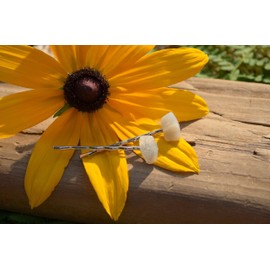 Moonstone Hair Pins (QTY of 2)