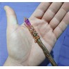 Merlin's Realm Rainbow Prism Oak Magic Wand