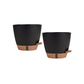 montresor 2 Pack 8 inch Plant Pots, PP Plastic Self Watering Plant Pot with Drainage and Tray for Indoor Outdoor Plants, Water Level Window & Reservoir Flower Pots Decorative Planter (Black)