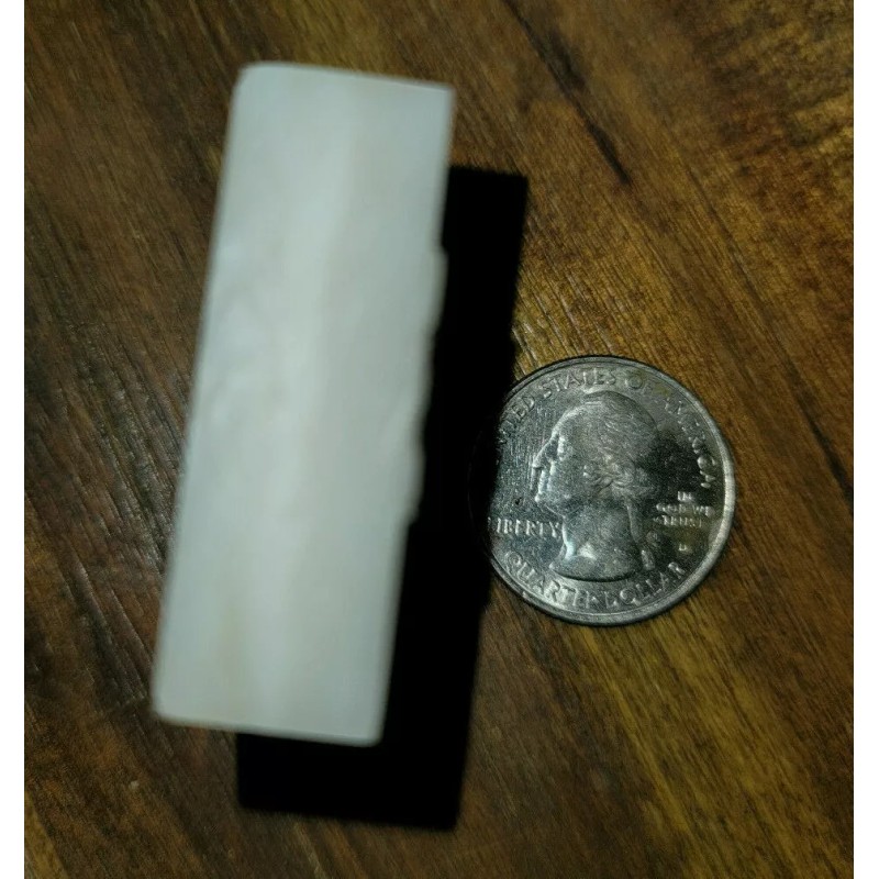 Southerncharmholsters "Cat in Jack-o'-lanter