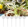 6Pcs Bird Shaped Plant Waterer Automatic Glass Bird Shape Design