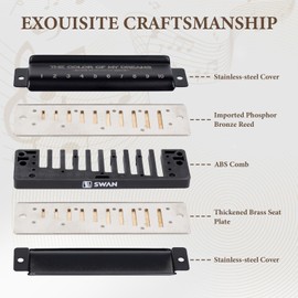 Blues Harmonica The COLOR OF MY DREAMS 10 Hole 20 Tone Harmonica with Imported Reed ABS Comb for Beginners Professionals (C Key)