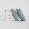 BEDSUM 2 Pack Tiny Pillows, 11"x7" Microfiber Mini Pillows for