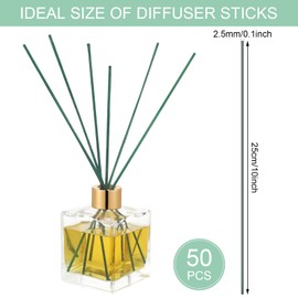 Demissle 50 Pieces Christmas Scented Fir Reed Diffuser Sticks 10 Inch Scented Green Aroma Essential Oil Diffuser Sticks Refill Replacement for Aroma Fragrance