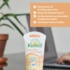 Kamill Express Hand & Nail Cream (3 x 100 ml)