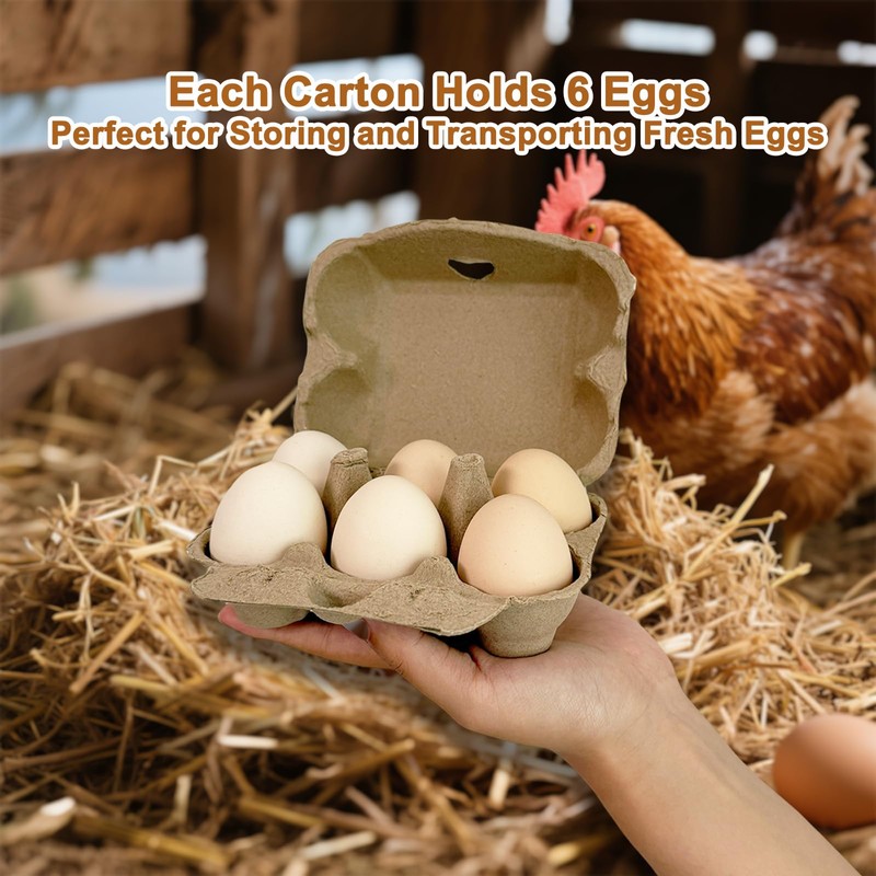 Homvik Half Dozen Farm Fresh Egg Cartons Bulk 6 Count