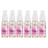 Garnier SkinActive Facial Mist Spray with Rose Water, 1oz. Travel