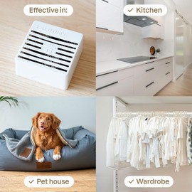 ATTITUDE Air Purifier, Activated Carbon Freshener, Odor Remover, Plant and Mineral-Based, Vegan, Lavender, 8 Ounces (Pack of 12)